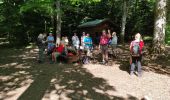 Tour Wandern Gebweiler - Guebwiller Croix Zimmermann  - Photo 1