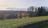 Tour Wandern Montauville - Le père Hilarion Montauville  - Photo 16