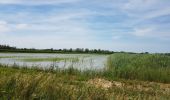 Randonnée Cyclotourisme Sauveterre - Sauveterre - Arles - Photo 14