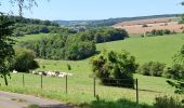 Excursión Senderismo Rouvroy-sur-Audry - La Boufleyye - Photo 3