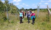 Tour Wandern Criquebeuf-sur-Seine - rando du 22 juin 2020 Criquebeuf - Photo 3