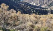 Trail Walking Nerja - Rio de la miel Hoya Quintana - Photo 1