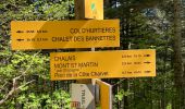 Tour Wandern Mont-Saint-Martin - Ascension au pas de l’âne  - Photo 9