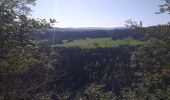 Trail Walking Les Gras - Les Gras Trail Walking Les Gras - Les Gras