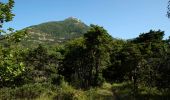 Randonnée Marche Marignac-en-Diois - Marignac - But de l'Aiglette - Col de Vassieux - Photo 12