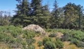 Excursión Senderismo Gonfaron - Plateau du Treps - Photo 4