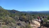 Excursión Senderismo Roquebrune-sur-Argens - Grottes de La Bouverie  - Photo 1