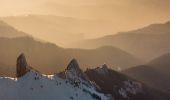 Percorso A piedi Sconosciuto - Vârful Ciucaș - Șaua Ciucaș - Plaiul Domnesc - Poiana Dălghiului - Photo 1