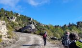 Trail Walking La Roquebrussanne - ROQUEBRUSANNE - Photo 16