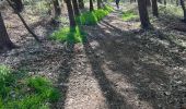 Tour Wandern Braine-le-Château - #230421 - Braine-le-Château > Bois d'Apecheau et d'Oisquerq, dont 4 km du GR 127 - Photo 4