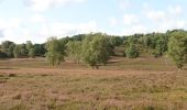 Tocht Te voet Onbekend - Wander-Tour Fischbeker Heide - Photo 7