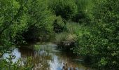 Tocht Mountainbike Le Brethon - rouge et noir - Photo 2