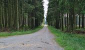 Excursión Senderismo Waimes - hautes fagnes  - Photo 1