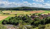 Percorso A piedi Lichtenfels - Verbindungsweg Köttel - Hoher Bühl - Photo 2