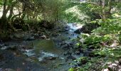 Tour Wandern Le Falgoux - Franconèche- Gr400-chemin des Italiens bis - Photo 3