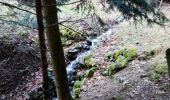 Tour Wandern Sankt Kreuz im Lebertal - Sur les hauteurs de Sainte croix aux mines - 1 - - Photo 3