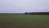 Tocht Stappen Les Authieux-sur-le-Port-Saint-Ouen - 20190105 les Authieux  - Photo 1