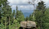 Tour Wandern Rappoltsweiler - boucle la grande verrerie-roche des 3 tables-roche des reptiles-roche des géants-la grande verrerie  - Photo 8