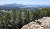 Randonnée Marche Ollioules - tour du gros cerveau  - Photo 7