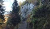 Percorso Marcia Mont-Dore - Randonnée des cascades : la grande Cascades - Queureuilh - le Rossignol et - le saut du Loup-  - Photo 17