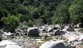 Percorso A piedi Dorgali - Sa Portiscra-Cala Luna - Photo 6