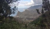 Trail Walking Santa Cruz de Tenerife - Afur - Taganana - Photo 14