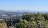 Tocht Stappen La Londe-les-Maures - dolmen de Gaoutabry 2 La Londe les Maures - Photo 10