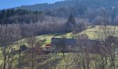 Trail Walking Sewen - Sewen - abris de Dolleren et du Sommerseite - Lachtelweiher - Col du Lochberg - Wissgrut - Photo 2