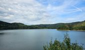 Tour Wandern Esch an der Sauer - 2023-08-23_09h43m26_circuit-du-lac-partie-est - Photo 8