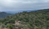 Trail  Bagnols-en-Forêt - Gorges de Blavet pays de Fayence - Photo 1