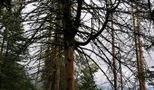 Tour Wandern La Rosière - la Rosière  - Photo 1