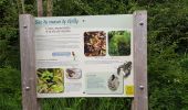 Tocht Stappen Delincourt - Delincourt, Le Mesnil, Reilly, La vierge, Delincourt - Photo 8