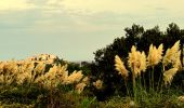 Excursión Senderismo Calvi - Calvi - Capu di a Veta - Croix des autrichiens - Photo 5