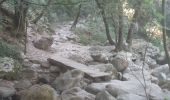 Excursión Senderismo Laroque-des-Albères - laroque . fontaine dels simino - Photo 9