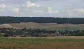 Tour Wandern Vauchassis - Berceney - Photo 1