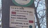 Percorso Marcia Niederbronn-les-Bains - Grand Wintersberg & plan d'eau Wolfartshoffen - Photo 10