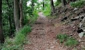 Trail Walking Aywaille - La Heid des Gattes  - Photo 7
