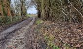 Tour Wandern Wavre - #240209 - Bierges, autour du Bois Wilmet** (version courte horlogique) - Photo 6