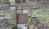 Randonnée Marche Valorbiquet - Aux alentours de St Cyr du Ronceray  - Photo 4