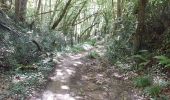 Trail Walking Fargues-Saint-Hilaire - parc insolite  - Photo 7