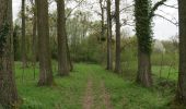 Trail On foot Riemst - Molenbeemd Natuureducatief pad - Photo 1