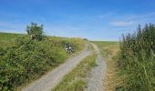 Tour Wandern Durbuy - Balade à Villers Sainte Gertrude - Photo 3