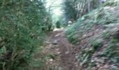 Trail Running Etsaut - ETSAUT Chemin de la mâture col d Arras - Photo 6