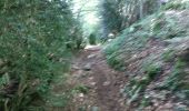 Excursión Carrera Etsaut - ETSAUT Chemin de la mâture col d Arras - Photo 6