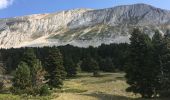 Randonnée Marche Saint-Agnan-en-Vercors - Grand Veymont par pré râteau  - Photo 4