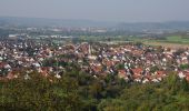 Randonnée A pied Urbach - Urbacher Wanderweg 7 - Photo 1