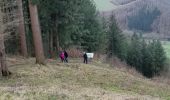 Trail Walking La Roche-en-Ardenne - sacrée  borzee m'abonne berosmenil - Photo 2