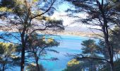 Trail Walking Saint-Cyr-sur-Mer - Le port d' Allon +370  - Photo 3