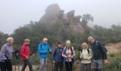 Randonnée Marche Le Muy - ROQUEBRUNE-Les deux frères, l'ermite- MBO - Photo 3