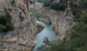 Tocht Stappen Sant Esteve de la Sarga - Congos de mont rebeil - Photo 4